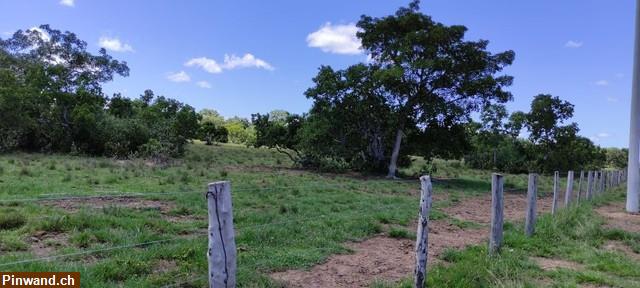 Bild 4: Brasilien 1'000 Ha Fazenda Region Cuiabá MT