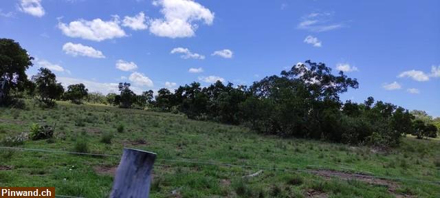 Bild 5: Brasilien 1'000 Ha Fazenda Region Cuiabá MT