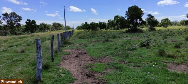 Bild 6: Brasilien 1'000 Ha Fazenda Region Cuiabá MT