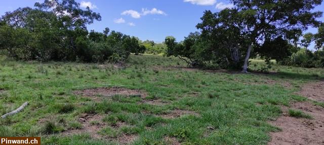 Bild 7: Brasilien 1'000 Ha Fazenda Region Cuiabá MT