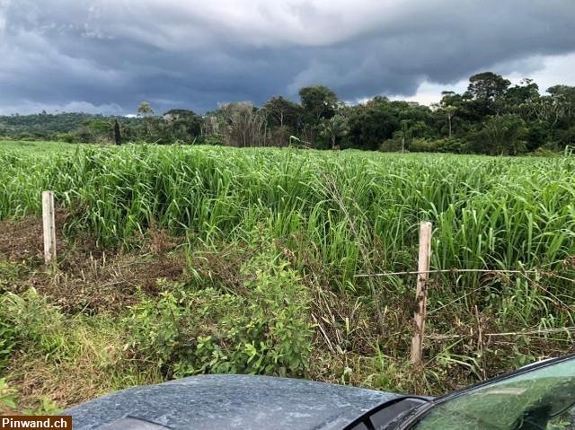 Bild 4: Brasilien 465 Ha Fazenda für Nova Maringá MT