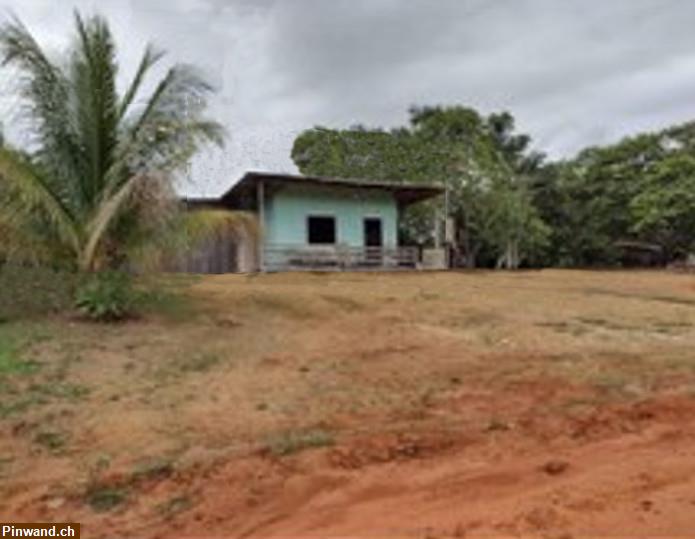 Bild 4: Brasilien 80 Ha Tiefpreis-Grundstück Früchtefarm bei  Manaus AM