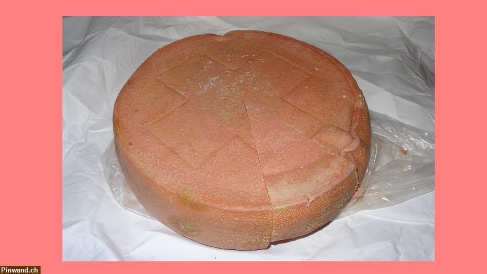Bild 1: Bergkäse Halbharter Käse zu verkaufen