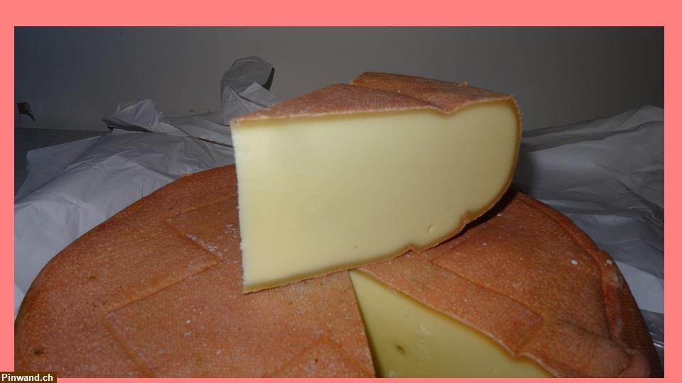 Bild 3: Bergkäse Halbharter Käse zu verkaufen