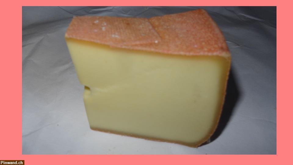 Bild 4: Bergkäse Halbharter Käse zu verkaufen