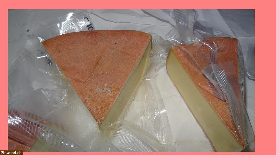 Bild 7: Bergkäse Halbharter Käse zu verkaufen