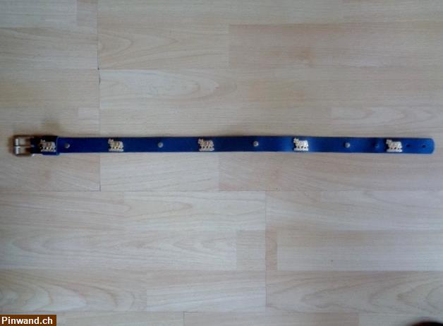 Bild 1: Appenzeller Hundehalsband Leder / 65cm zu verkaufen