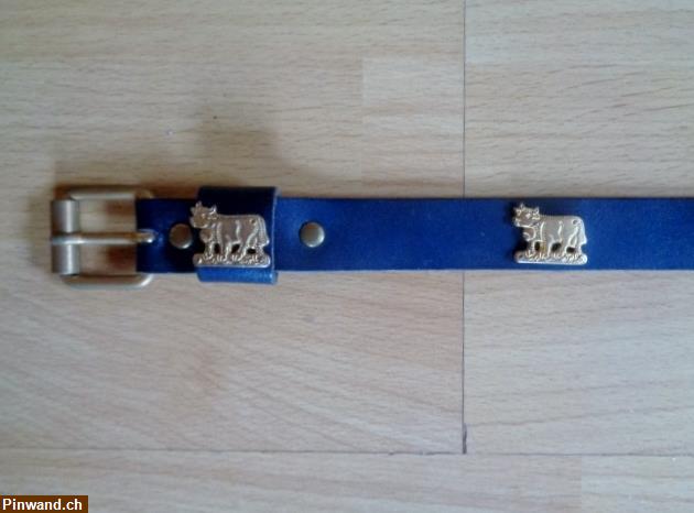 Bild 2: Appenzeller Hundehalsband Leder / 65cm zu verkaufen