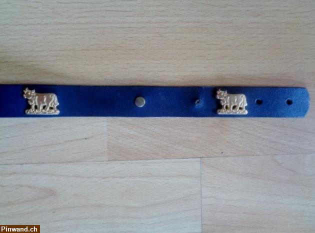 Bild 4: Appenzeller Hundehalsband Leder / 65cm zu verkaufen