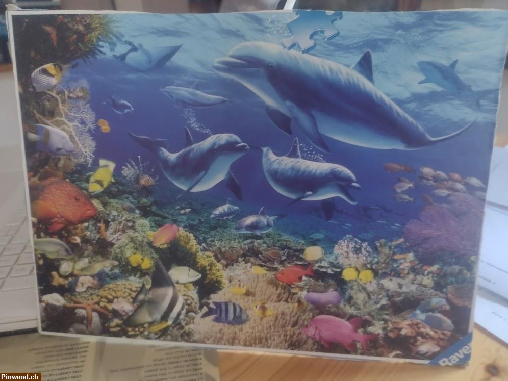 Bild 4: 1000er Puzzle zu verkaufen