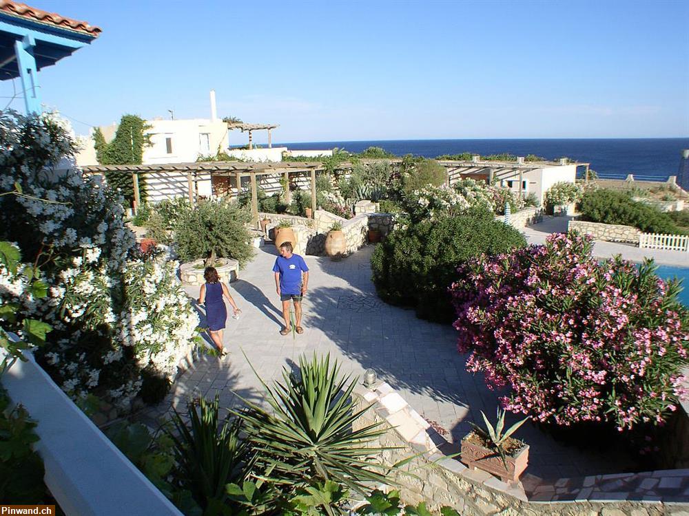 Bild 3: Kreta - Ferienwohnungen Oase am Meer mit Pool zu vermieten