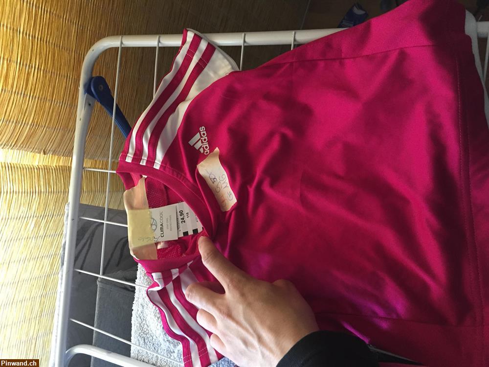 Bild 1: Trainer Hosen inkl T-Shirt von Adidas Gr. 110 zu verkaufen