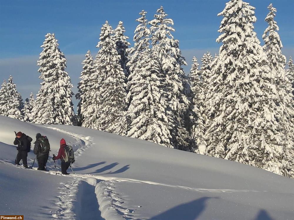 Bild 2: Wanderungen und Schneeschuhtouren in kleinen Gruppen