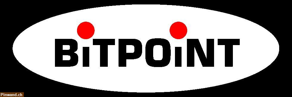 Bild 1: BitPoint Webhosting Schweiz