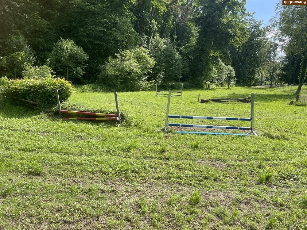 Bild 3: Reitplatz für Gästereiter in Allschwil BL