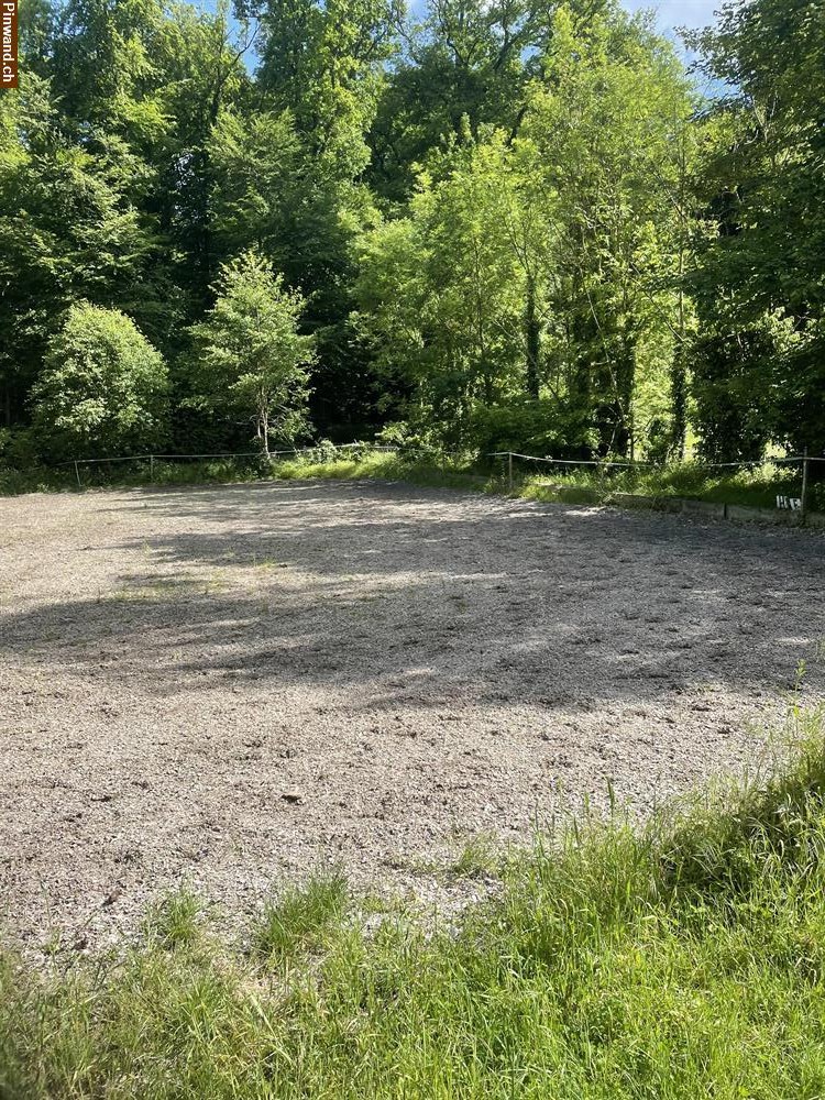 Bild 5: Reitplatz für Gästereiter in Allschwil BL
