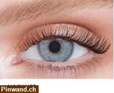 Bild 1: Lash Lifting, Wimpernlifting | PRIZ Beauty