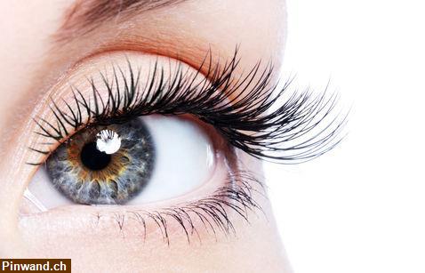Bild 1: Brauen / Wimpern färben | PRIZ Beauty