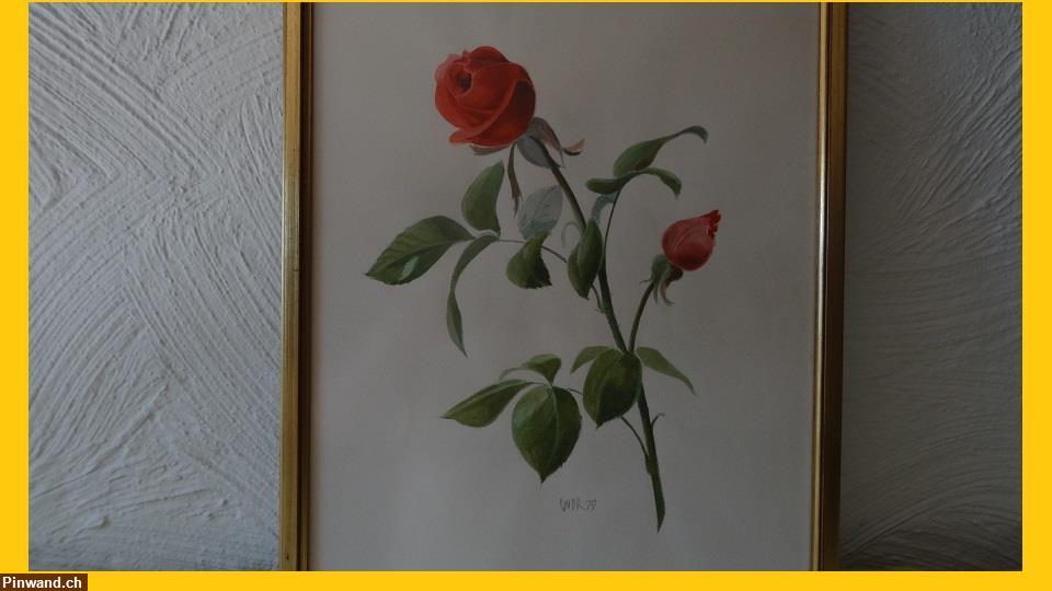 Bild 2: Handsigniert Aquarell Gemälde Roses Bild zu verkaufen