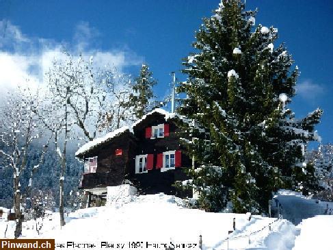 Bild 1: Haute-Nendaz VS, Chalet frei ab sofort