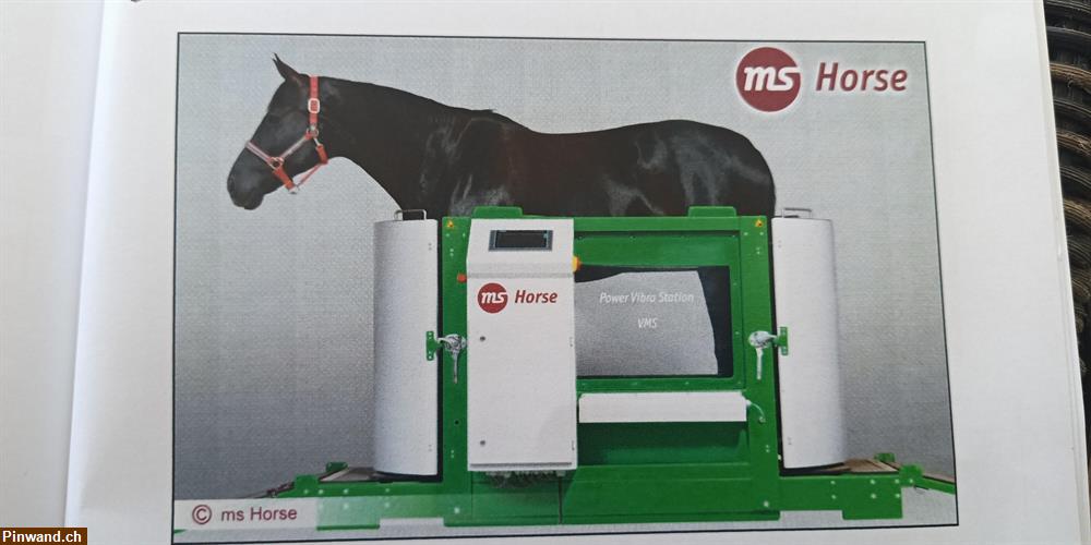 Bild 1: Trainingsgeräten für Pferde Power Vibra Station zu verkaufen