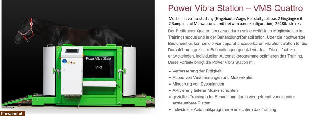 Bild 2: Trainingsgeräten für Pferde Power Vibra Station zu verkaufen