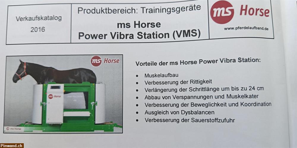 Bild 4: Trainingsgeräten für Pferde Power Vibra Station zu verkaufen