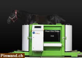 Bild 7: Trainingsgeräten für Pferde Power Vibra Station zu verkaufen