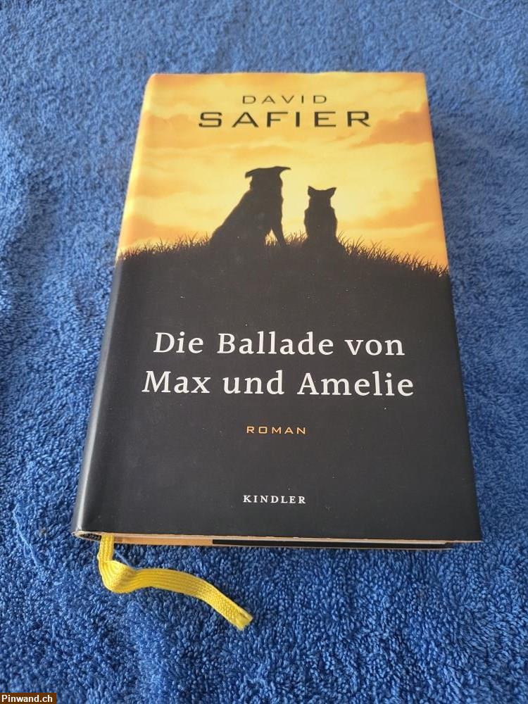 Bild 1: Die Ballade von Max und Amelie von D.Safier