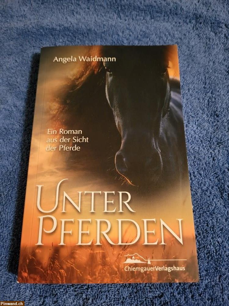 Bild 1: Roman: Unter Pferden von A. Waidmann zu verkaufen