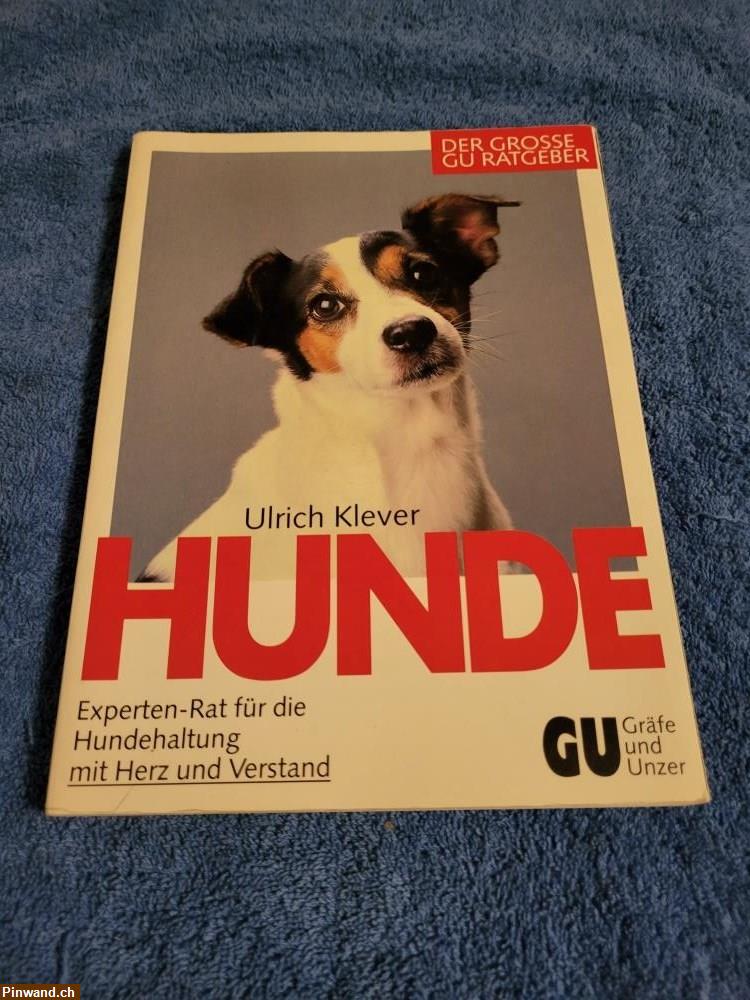 Bild 1: GU Hunde von U. Klever