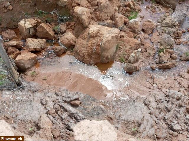 Bild 5: Brasilien: riesengrosses 1'000 Ha Grundstück zu verkaufen