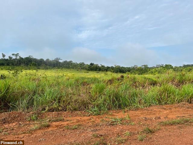 Bild 3: Brasilien: 94.0251 Ha grosses Grundstück zu verkaufen