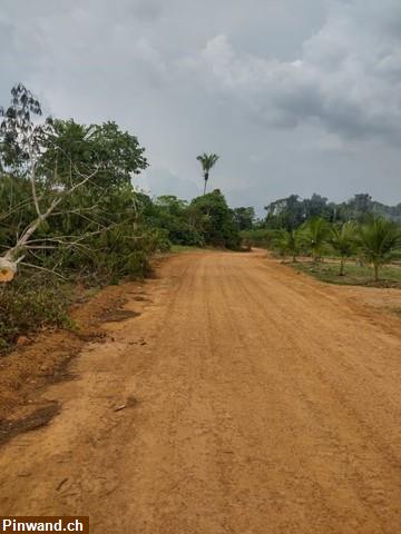 Bild 5: Brasilien: 94.0251 Ha grosses Grundstück zu verkaufen