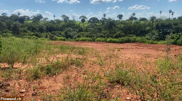 Bild 2: Brasilien: riesengrosses 3'000 Ha Grundstück zu verkaufen