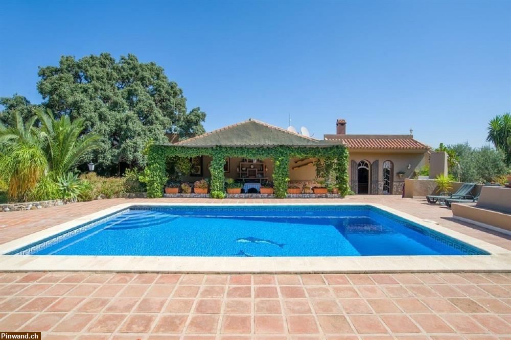 Bild 3: Finca mit 2 Häuser & 2 Appartments in Malaga / Spanien zu verkaufen