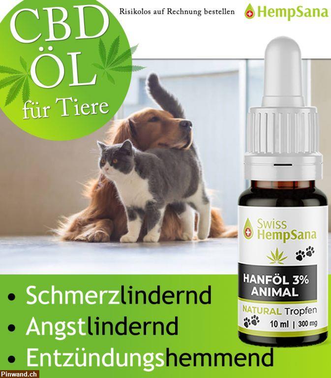 Bild 1: Hempsana CBD Öl für Ihren Hund und Katze zu verkaufen