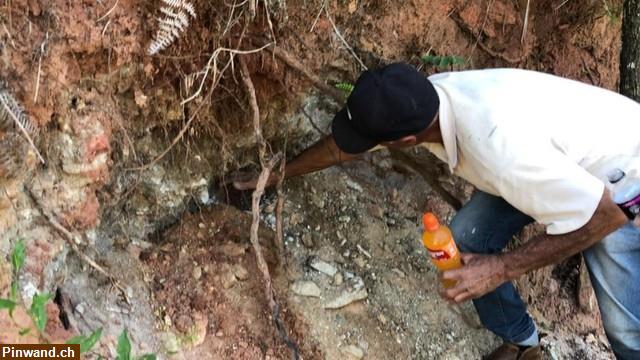 Bild 4: Brasilien riesengrosses 1'000 Ha Tiefpreis - Grundstück mit Rohstoffen