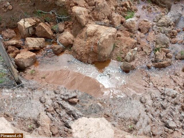 Bild 5: Brasilien riesengrosses 1'000 Ha Tiefpreis - Grundstück mit Rohstoffen