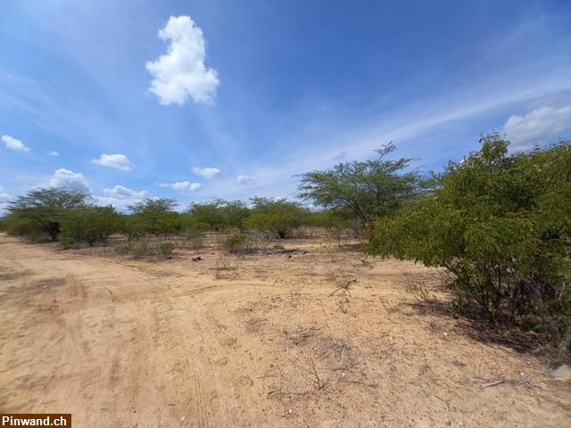 Bild 4: Brasilien riesengrosses 950 Ha Grundstück Region Arcoverde - PE