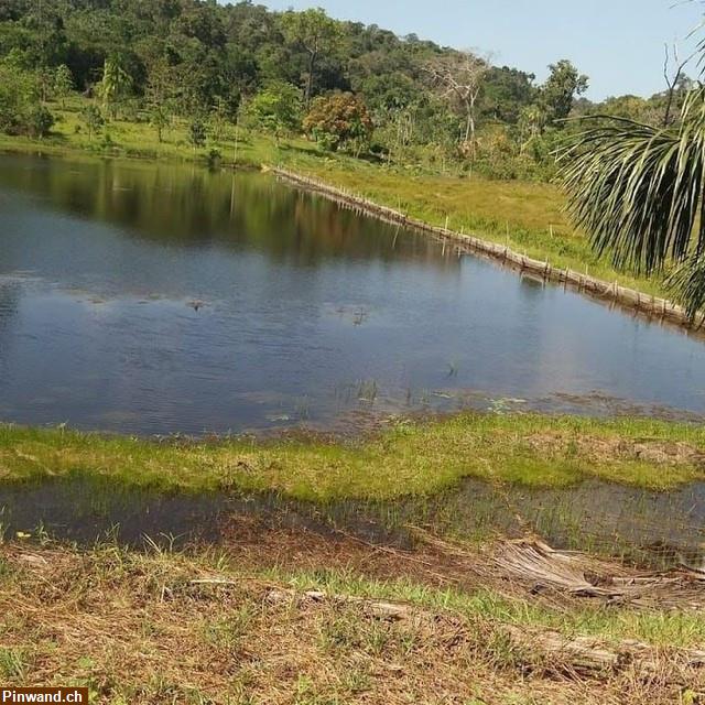 Bild 2: Brasilien 38 Ha Tiefpreis-Grundstück mit Privatsee