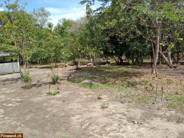 Bild 5: Brasilien 80 Ha Tiefpreis - Grundstück mit Rohstoffen Region Manaus