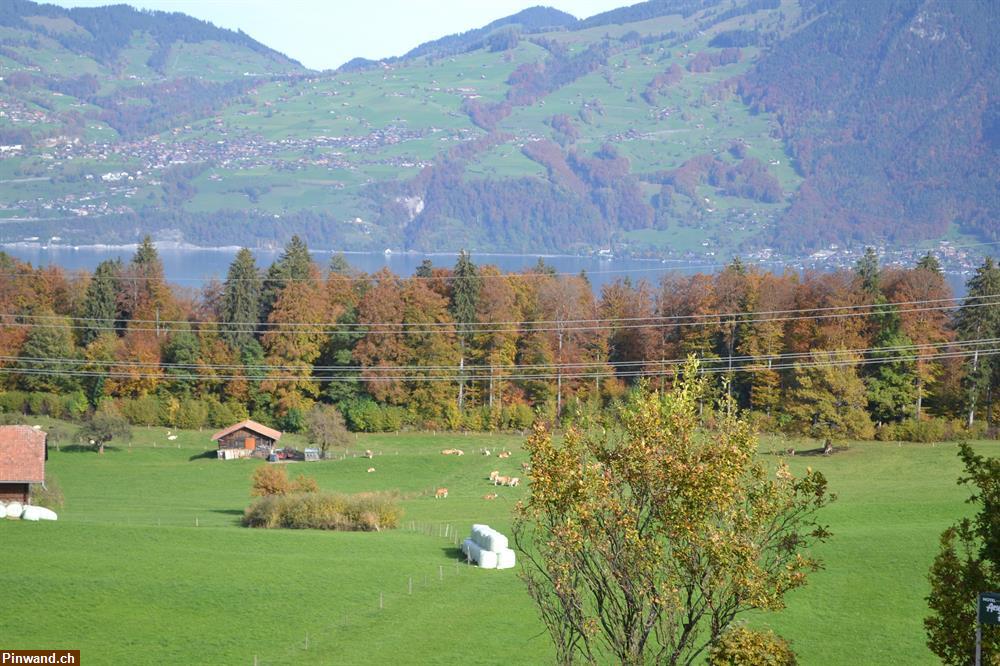Bild 8: Schöne Ferienwohnung im Berner Oberland zu vermieten