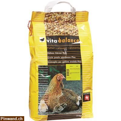 Bild 1: Hühnerkörner & Hühnerfutterautomat zu verkaufen