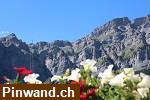 Bild 1: Helle, grosse 4.5-Zimmer Wohnung mit schöner Aussicht in Susten im Wallis