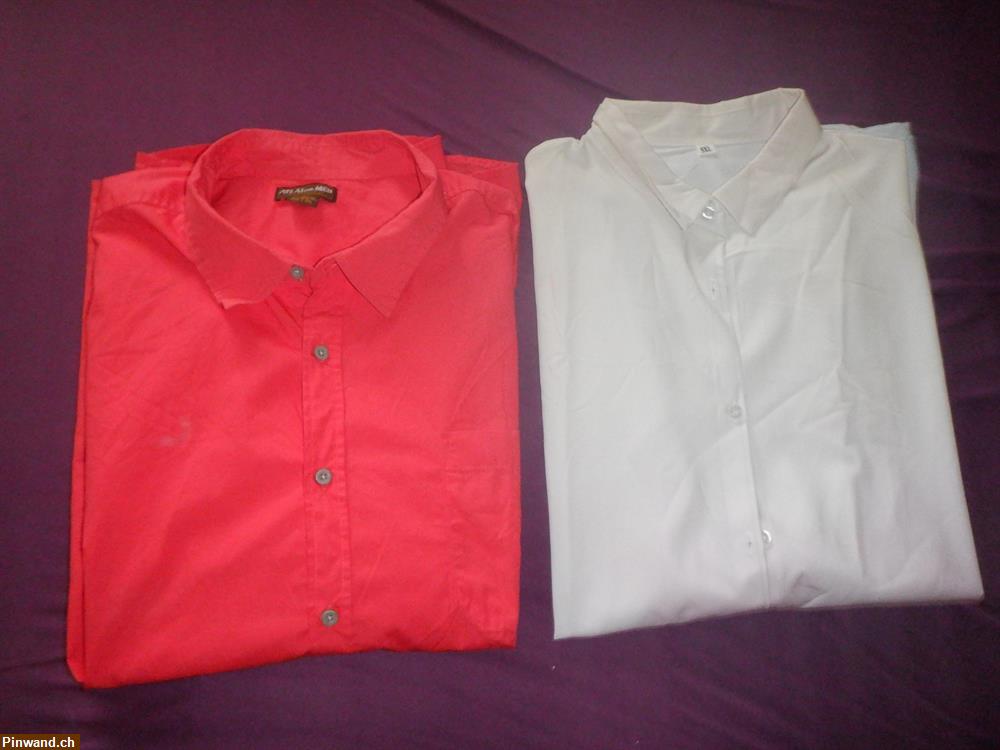 Bild 2: 8 neuwertige Herren Hemden 4 XL/5XL zu verkaufen