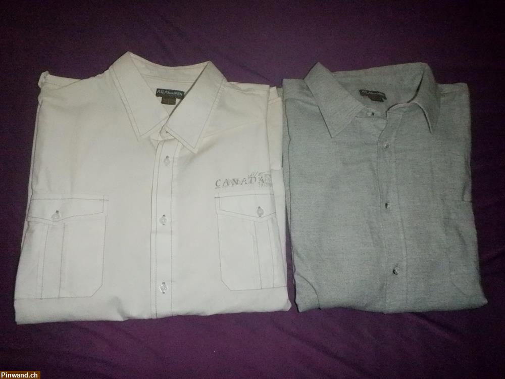 Bild 3: 8 neuwertige Herren Hemden 4 XL/5XL zu verkaufen