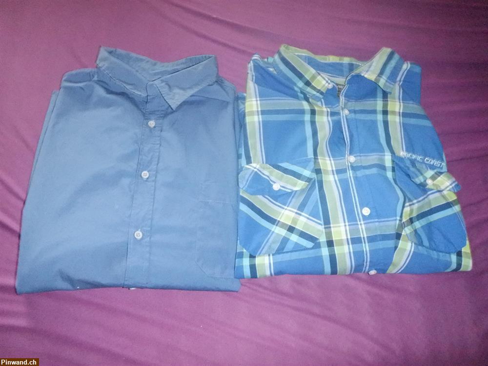 Bild 4: 8 neuwertige Herren Hemden 4 XL/5XL zu verkaufen