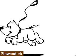 Bild 1: Zuverlässige Hundebetreuung - Dogsitting im Raum Aarburg AG