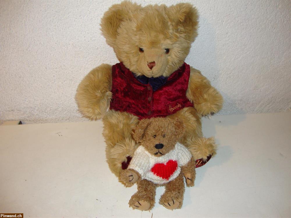 Bild 1: 2 Teddybären zu verkaufen